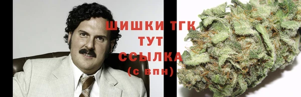PSILOCYBIN Нефтегорск