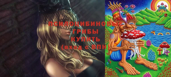 PSILOCYBIN Нефтегорск