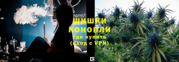 PSILOCYBIN Нефтегорск