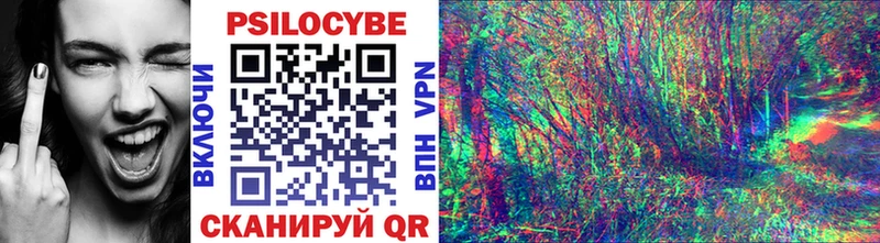 Псилоцибиновые грибы прущие грибы  Сысерть 